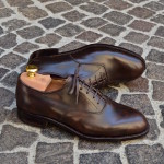 Classic Oxford-4