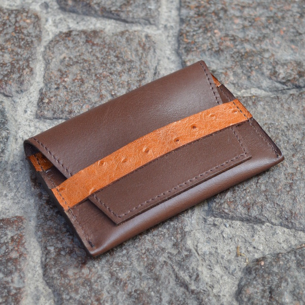 Brown & Ostrich Umbria Card Case, Front